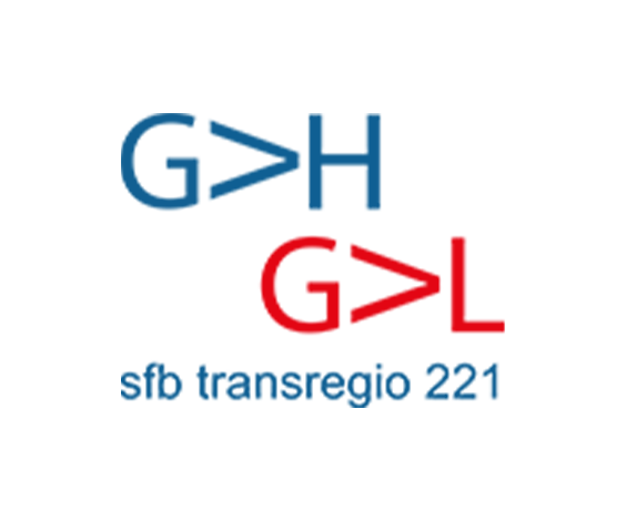 Logo SFB 221